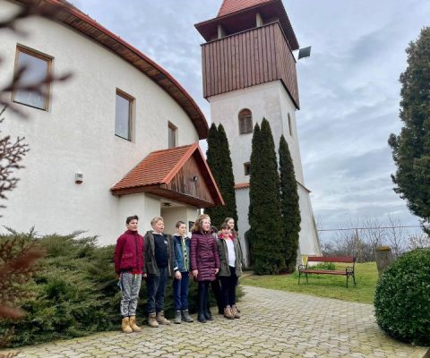 Raport anual de evaluare internă a calităţii