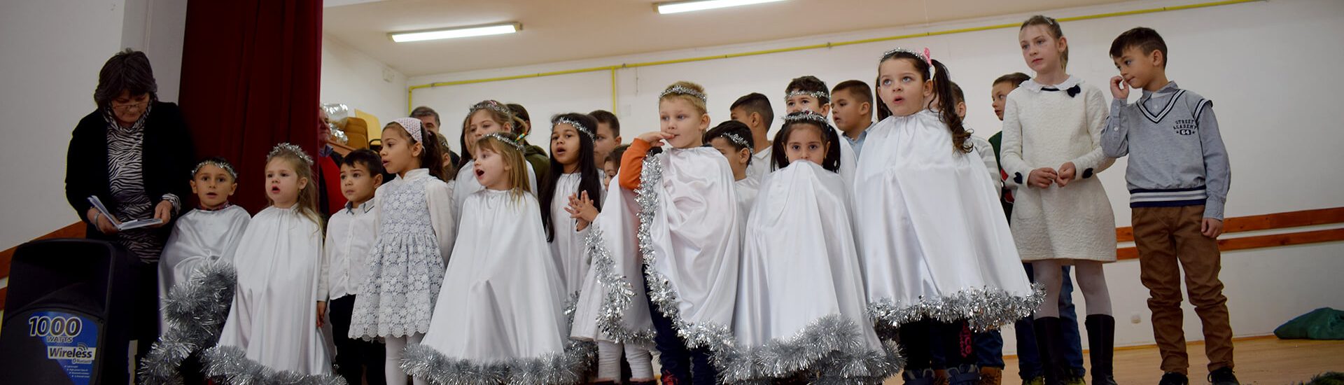 Program audiente Director